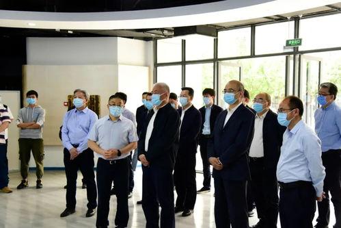 娱乐吃瓜长视频电子榨菜,娱乐吃瓜长视频的潮流解析