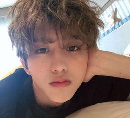 吃瓜娱乐酱程序员,揭秘程序员背后的编程世界