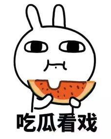 娱乐吃瓜君太阳,揭秘娱乐圈的璀璨明星