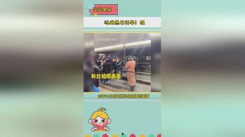 每日吃瓜娱乐播报台,娱乐圈新鲜事速递