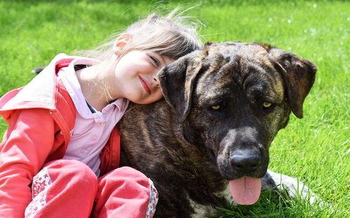 假如狗会说话娱乐吃瓜酱,娱乐吃瓜酱带你领略狗狗界的趣味日常